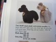 画像6: Vintage Stuffed Toy 　Steiff シュタイフ　小さなプードル犬　グレー (6)