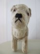 画像8: Vintage Stuffed Toy 　アンティーク　古い犬のぬいぐるみ　イギリス (8)