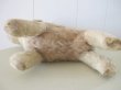 画像11: Vintage Stuffed Toy 　アンティーク　古い犬のぬいぐるみ　イギリス (11)