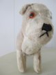 画像5: Vintage Stuffed Toy 　アンティーク　古い犬のぬいぐるみ　イギリス (5)