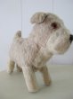 画像3: Vintage Stuffed Toy 　アンティーク　古い犬のぬいぐるみ　イギリス (3)