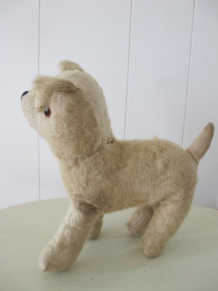 画像5: Vintage Stuffed Toy 　アンティーク　古い犬のぬいぐるみ　立ち耳　イギリス (5)
