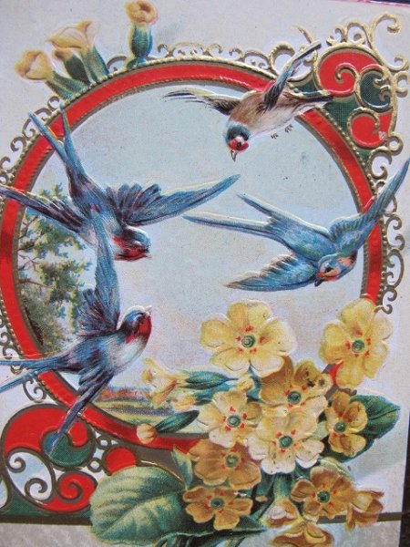 画像2: Postcard   ツバメと黄色のお花 1909年 (2)