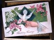 画像1: Postcard 　手紙を運ぶ白鳩と美しい手　 (1)