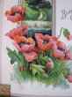 画像2: Postcard  ポピーのお花と四つ葉のクローバー　1910年 (2)