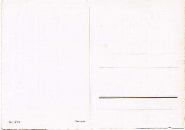 画像2: Postcard  みんなで一緒にお料理をするウサギさんの家族 (2)