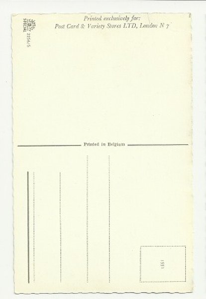 画像2: ママ猫仲間 Mainzer cat (2)