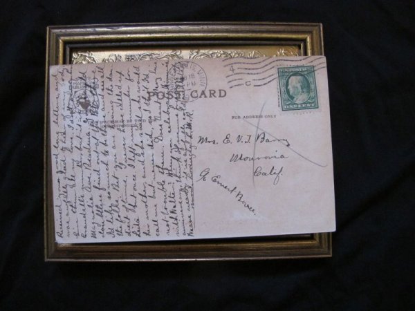 画像3: Postcard  お乳を与える豚のお母さんと子豚たち 1910年  (3)