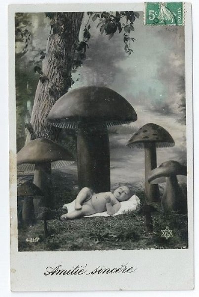 画像1: Postcard  キノコの森の赤ちゃん　 (1)