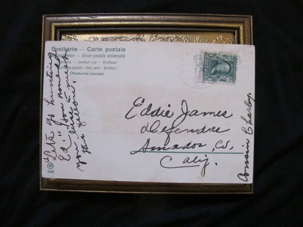 画像3: Postcard  怪我をした野生の黒豚　Mailick  (3)