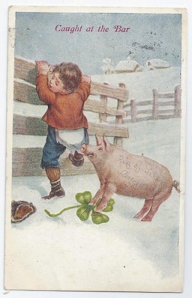 画像1: Postcard  豚さんに捕まえられた男の子　1908年 (1)