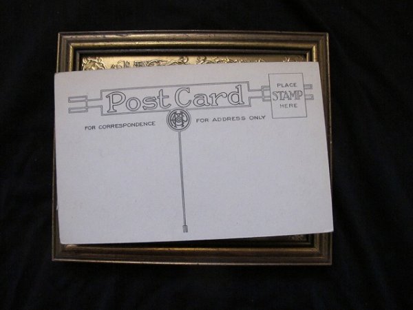 画像2: Postcard  道路に座り込む豚の親子  (2)