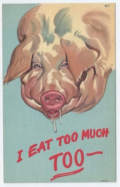 画像1: Postcard  食いしん坊の豚さん　未使用　 (1)