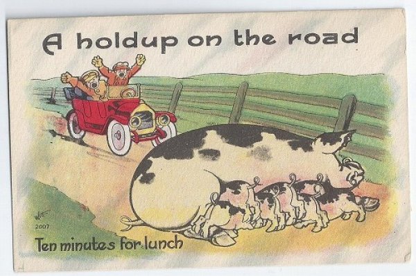 画像1: Postcard  道路に座り込む豚の親子　 (1)