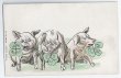 画像1: Postcard  四つ葉のクローバーと３匹の豚さん　 (1)