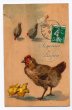 画像1: Postcard　イースター　ヒヨコとニワトリ　フランス1912年  (1)