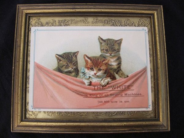 画像2: Trade Card 3匹の猫 H.Maguire  (2)