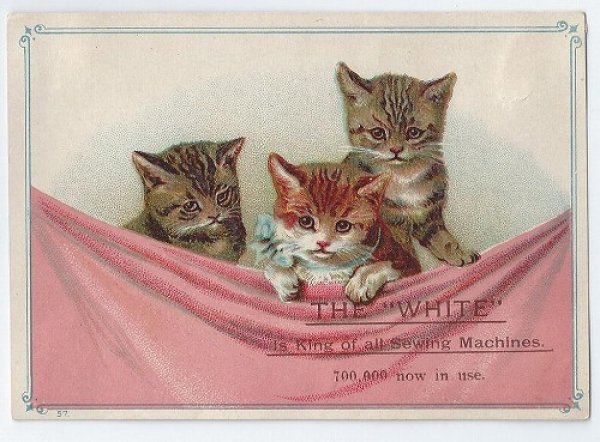 画像1: Trade Card　3匹の猫　H.Maguire　 (1)