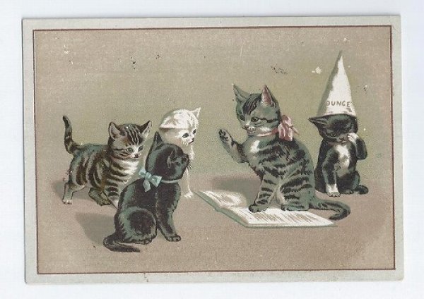 画像1: Greeting Card　猫の学校　H.Maguire　 (1)