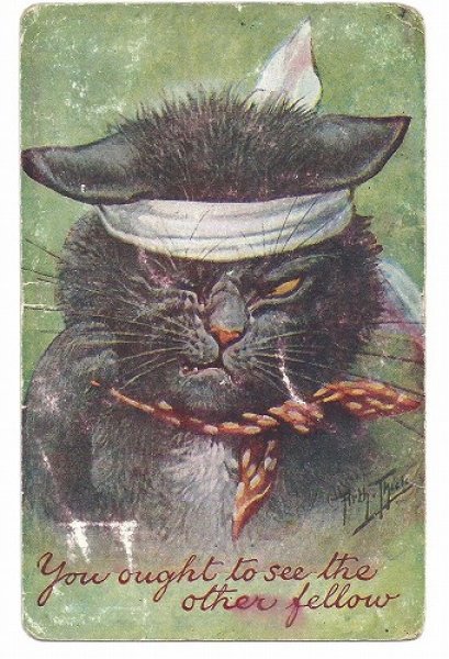 画像1: Postcard　喧嘩に負けた猫　Arthur Thiele　 (1)