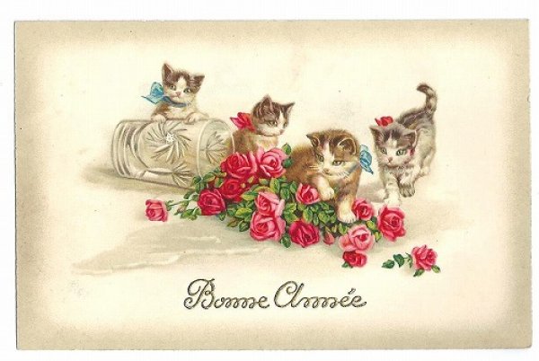 画像1: Postcard　薔薇のお花と4匹の猫　Wally Fialkowska　　 (1)