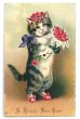 画像1: Postcard　手紙と薔薇のお花を持った猫　1909年　　 (1)