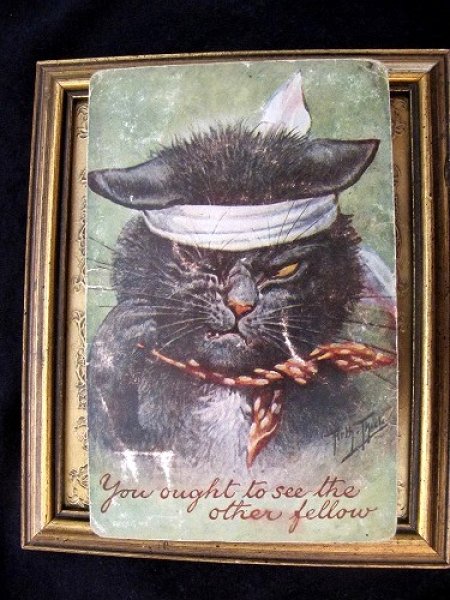 画像2: Postcard 喧嘩に負けた猫 Arthur Thiele  (2)