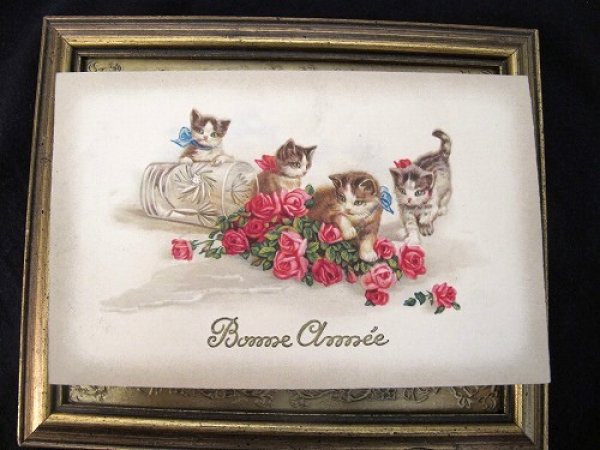 画像2: Postcard 薔薇のお花と4匹の猫 Wally Fialkowska   (2)