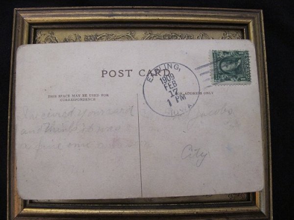 画像3: Postcard 喧嘩に負けた猫 Arthur Thiele  (3)