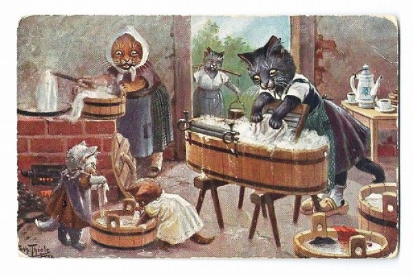 画像1: Postcard　お洗濯をする猫たち　Arthur Thiele　 (1)