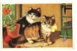 画像1: Postcard　2匹の猫　 (1)