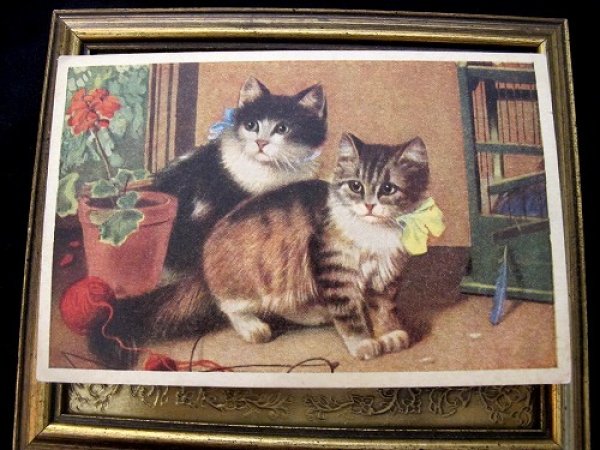 画像2: Postcard 2匹の猫  (2)