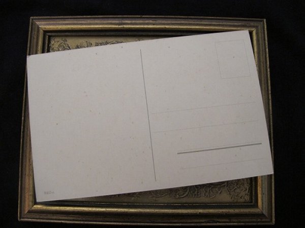 画像3: Postcard 窓際の猫たち  (3)