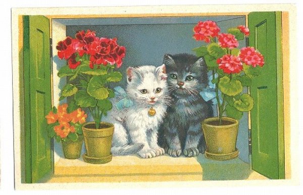 画像1: Postcard　窓際の猫たち　 (1)