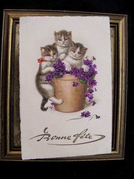 画像2: Postcard 3匹の子猫とスミレのお花鉢  (2)