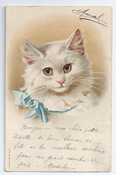 画像1: Postcard  白猫　フランス1907年　Dorothy Travers Pope (1)