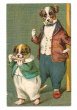 画像1: Postcard  背後から迫る犬の先生！　G.H. Thompson　イギリス1903年 (1)