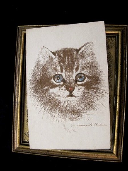 画像2: Postcard  猫  (2)