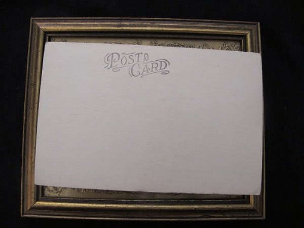 画像3: Postcard  猫  (3)