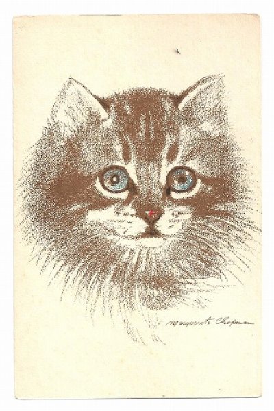 画像1: Postcard  猫　 (1)