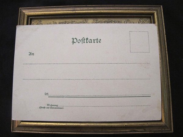 画像3: Postcard  お鍋に興味津々な猫たち  (3)