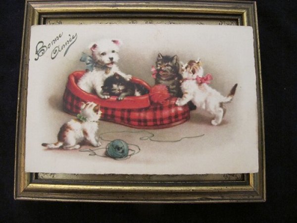 画像2: Postcard  大きなスリッパの中の犬と猫   (2)