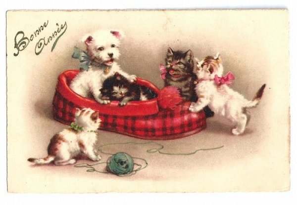 画像1: Postcard 　大きなスリッパの中の犬と猫　　 (1)
