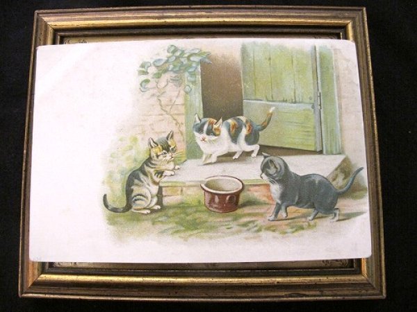 画像2: Postcard  お鍋に興味津々な猫たち  (2)