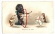 画像1: Postcard 　黒いプードル犬と子猫たちの輪くぐり　　フランス1930年　 (1)