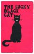 画像1: Postcard 　幸運の黒猫 The Lucky Black Cat　1910年　 (1)