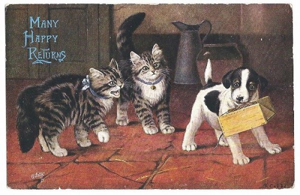 画像1: Postcard 　子犬と怒る猫　 (1)