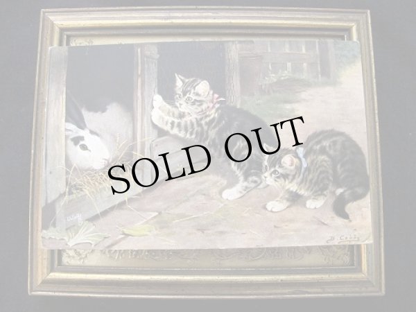 画像2: Postcard  ウサギ小屋の前の子猫   (2)