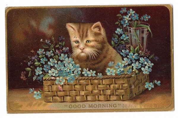 画像1: Postcard　忘れな草のお花かごと猫　1910年 (1)