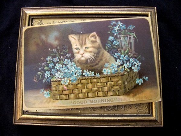 画像2: Postcard 忘れな草のお花かごと猫 1910年 (2)